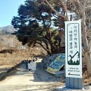 지리산하늘과바람과별과개 이미지