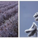 한율농장 이미지