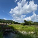 어진동스타벅스세종청사점옆 이미지