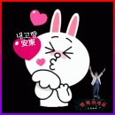 브로콜리의 엄청난 효능 이미지