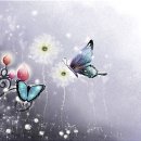 매일이기적