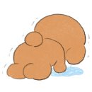 초이살롱 - 당동 | 초이살롱