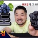 당뇨 포도 당지수 GI지수 포도 1송이 칼로리 혈당 괜찮을까 이미지