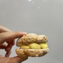 해쉬커피내서