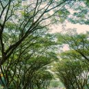 올리브영정읍 - 정읍시 충정로 58 | 올리브영정읍