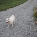 덕산기 농장 이미지