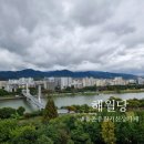 (주)해월당 언양점 | 대구 동촌유원지 신상 카페 해월당 베이커리 뷰맛집 사람 구경 실컷 하고 온 후기