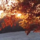 탑코리아 행정사사무소 이미지