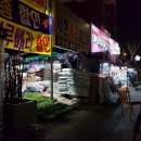 서현사료