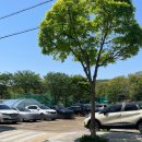 형제봉 농장 | 맛집 (내돈내산) | 광교산 등산 맛집 형제봉 둘레길 맛집 백운농장 백운농원 메뉴 추천 :: 백운주말농장