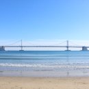 광안밀면 이미지