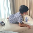 호맥 공주대점 | 하루살이의 잡다구리 일상