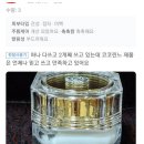 코코린느 이미지