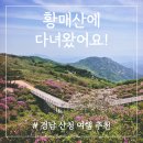 경남 산청 가볼만한곳 힐링스팟 황매산 찐후기
