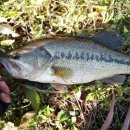 대교로2L 이미지