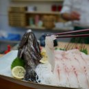 스시가탐나도 이미지