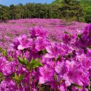 수만리 생태숲공원 이미지