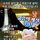 숫자로 살지말고 마음으로 살자 이미지