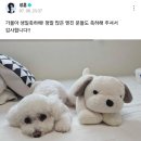 수능콘서트 - 십센치 | 아주 많은 처음을 주었잖아