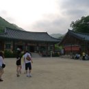 장안밀면오리전문점 이미지