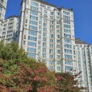 송산로307번길50 네이버블로그