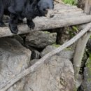 청운목장 이미지