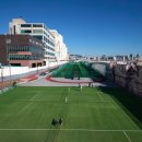 남항체육시설 이미지