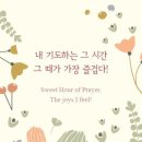 즐거운시간 Daum카페