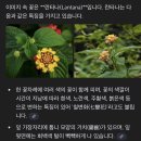 동광로1길 32-11 | [제주] 20km 걸은 날