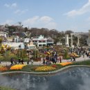 에버랜드 동물병원 이미지