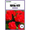 마켓핀토