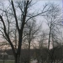 아름드리목장 이미지