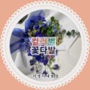 미정이네꽃집 이미지