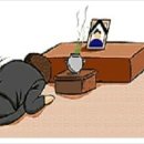 한솔장례식장 이미지