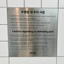 가평 풀빌라 추천, 디온풀빌라 커플여행 후기