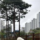 양산유치원 이미지