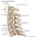 명인마취통증의학과의원 이미지