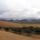 돌산가축 이미지