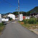 좌항1리 Daum카페