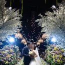 소로2-구도02 | W_02 본식스냅 로라데이즈 본식후기_인천 아레나파크 아레나홀(어두운홀)