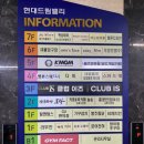 주차 가능한 방이동술집 문어천하, 활문어보쌈오리사합 강추 후기