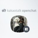 24시애견미용 이미지