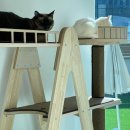 오냥오냥 고양이호텔 이미지