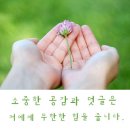 우도 땅콩아이스크림 ★ 지미스 고소한맛 최고!