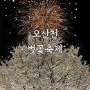 종합운동장 | 오산천 벚꽃축제🌸 | 뚜벅이&amp;위치, 주차정보&amp;불꽃놀이 후기