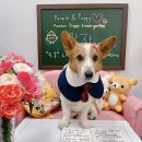 피플앤 퍼피 이미지