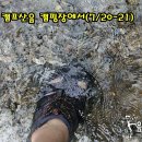 와글와글캠핑스토리 캠프산음 | [오토캠핑] 양평 캠프산음/ 와글와글캠핑 스토리 캠핑장에서...(7/21~7/22)