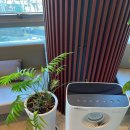 김완수안과의원 이미지