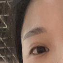 별내동물병원 | 별내속눈썹펌 여기서 받으세요! 솔직히 가성비갑 브로우미 후기