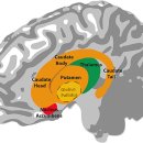 ADHD 증후군, 혹시 우리 아이도? 이미지